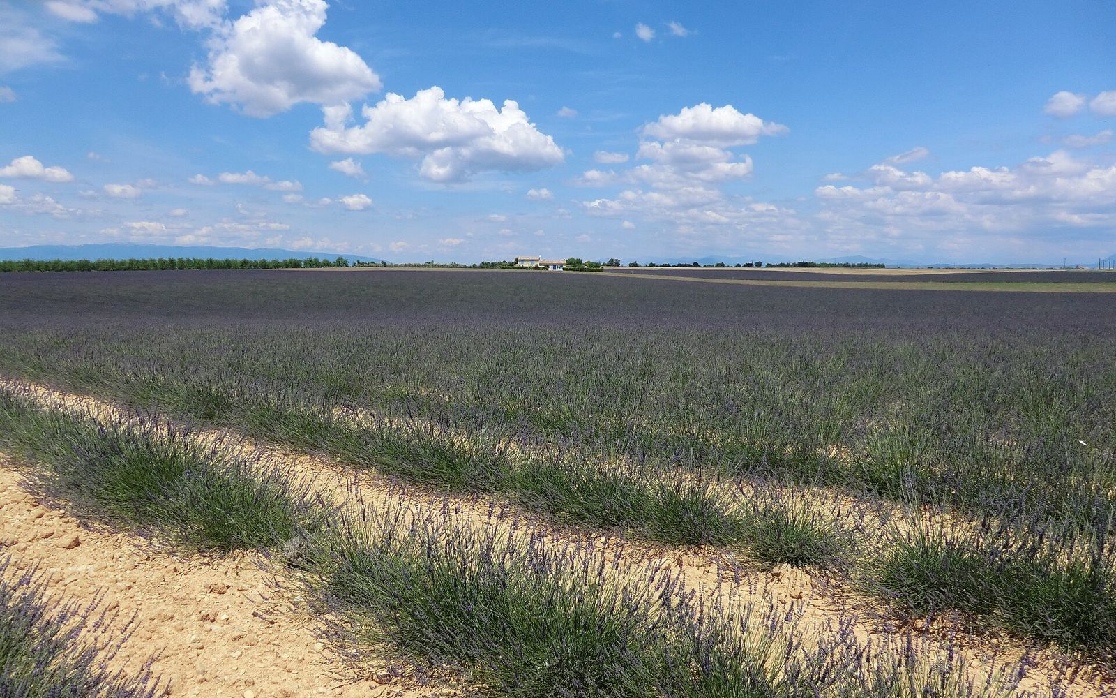 Provence